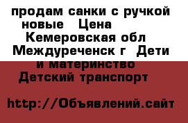 продам санки с ручкой новые › Цена ­ 1 000 - Кемеровская обл., Междуреченск г. Дети и материнство » Детский транспорт   